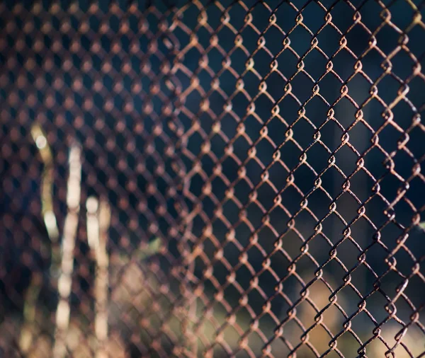 Close view of metal reinforcement mesh in sunlight