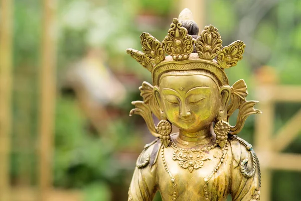 Stäng Visa Golden Buddha Amitayus Staty Från Tibet — Stockfoto