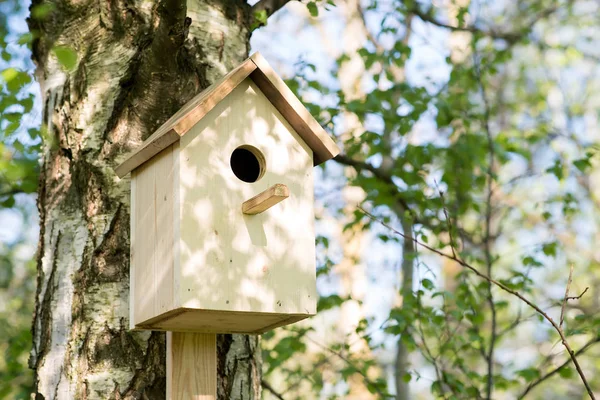 Casa Legno Uccelli Sul Tronco Albero Nel Giardino Primaverile — Foto Stock