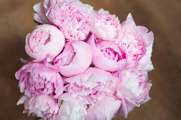 White Pink Peonies Background Wallpaper — Stock Photo, Image