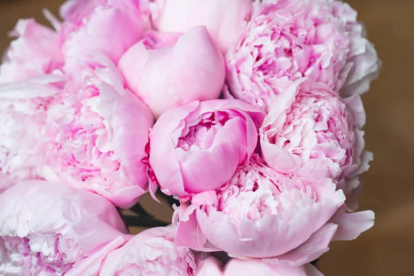 White Pink Peonies Background Wallpaper — Stock Photo, Image