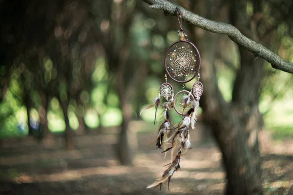 Dreamcatcher Mágico Amuleto Xamã Indiano Espiritual Místico Estilo Boho — Fotografia de Stock