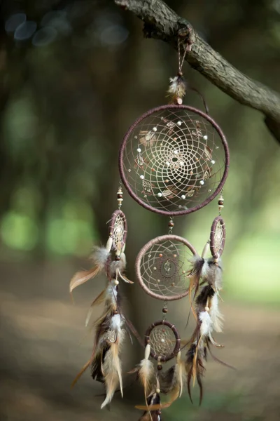 Dreamcatcher Varázslatos Spirituális Indiai Sámán Amulett Misztikus Boho Stílus — Stock Fotó