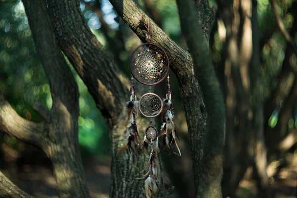 Dreamcatcher Magiczny Duchowy Indyjski Amulet Szaman Mistyczne Styl Boho — Zdjęcie stockowe