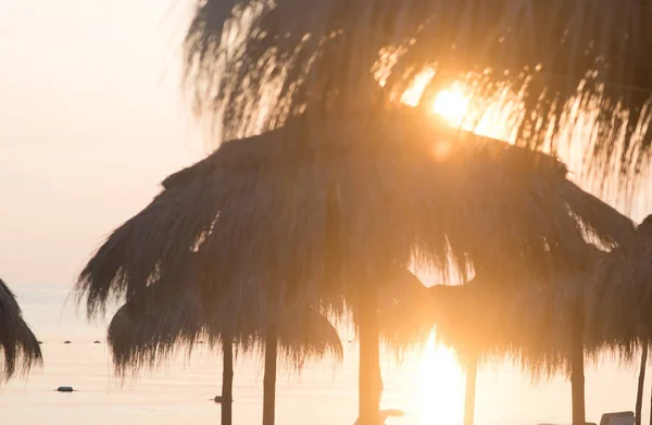 Tiki Hytte Paraplyer Hage Solopgang Udsigt Stranden Tunesien - Stock-foto