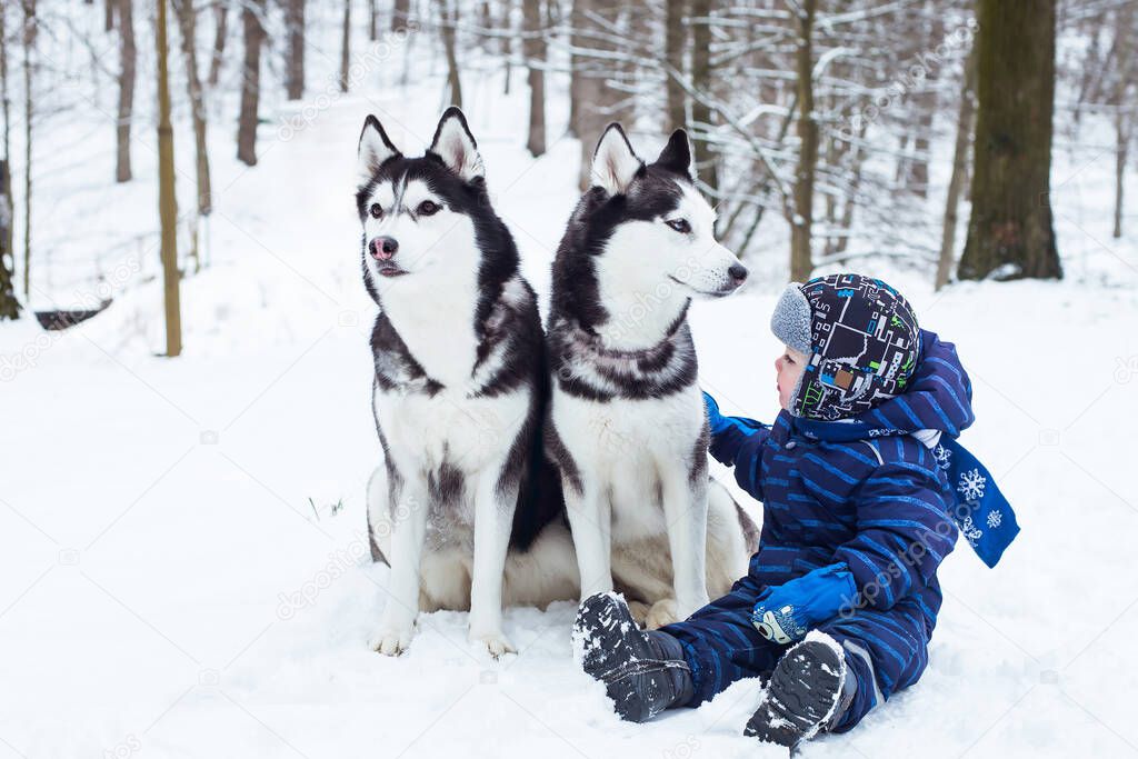 Baby boy with husky dogs. Winter