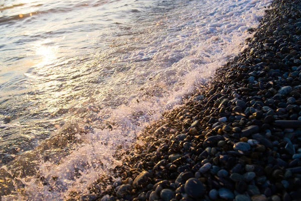 Meeresküste Mit Steinen Kieselsteinen Nahaufnahme Sonnenuntergang — Stockfoto