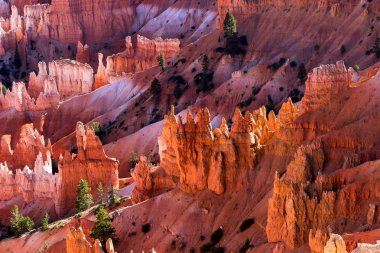 Brice Kanyon Milli Parkı'nda Utah güzel manzara. Dünyanın en güzel doğal parklarından biridir. İnanılmaz sahne dünyanın dört bir yanından gelen turistler çekmek.