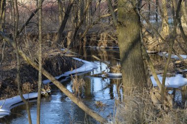 Devlet Parkı akışında kış.