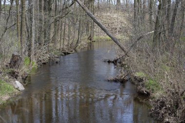 Wisconsin baharda gümüş dere