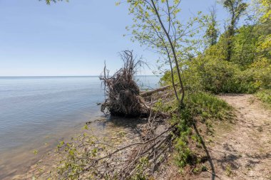 Michigan Gölü kıyılarındaki göl suyu seviyesindeki erozyon.