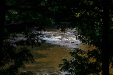 Nehirde akıntı. Wisconsin 'den doğal manzara.