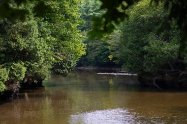 Derin bir vadideki nehir