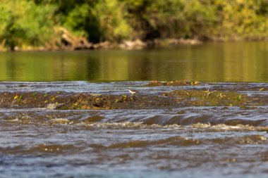 Derin bir vadideki nehir