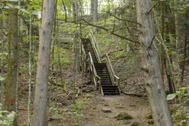 Wisconsin 'deki parktaki vadiye giden tahta merdivenler.