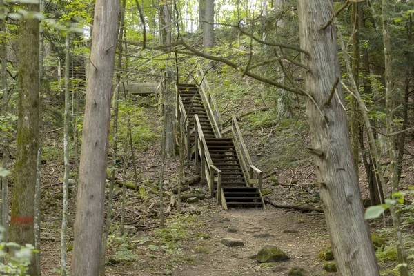 Escadas Madeira Para Vale Parque Estadual Wisconsin — Fotografia de Stock