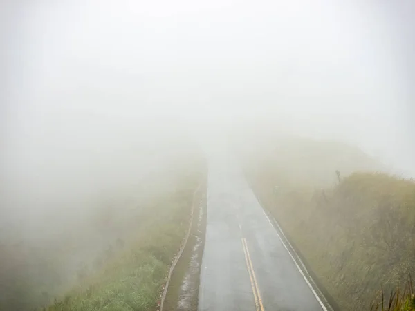 Утренний Туман Над Асфальтовой Дорогой — стоковое фото