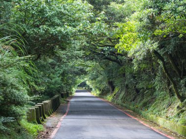 Bulutlu bir günde Orman Yolu