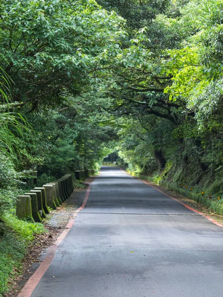 Strada Forestale Una Giornata Nuvolosa — Foto Stock