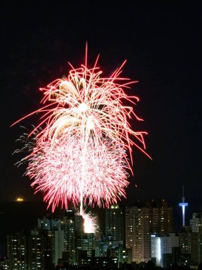 Gece gökyüzünde renkli havai fişekler