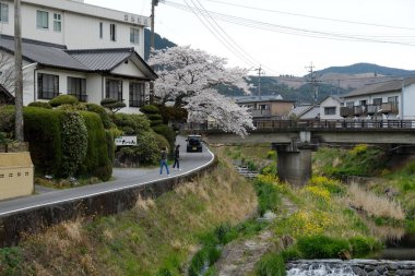 Japonya, Oita 'da Yufuin caddeleri ön cephede. Turistik bir kasaba ve turistik turlar için popüler bir yer.