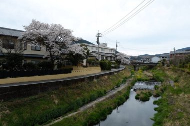 Japonya, Oita 'da Yufuin caddeleri ön cephede. Turistik bir kasaba ve turistik turlar için popüler bir yer.