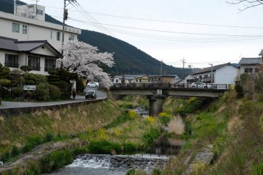 Japonya, Oita 'da Yufuin caddeleri ön cephede. Turistik bir kasaba ve turistik turlar için popüler bir yer.