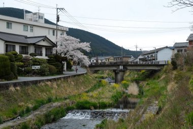 Japonya, Oita 'da Yufuin caddeleri ön cephede. Turistik bir kasaba ve turistik turlar için popüler bir yer.