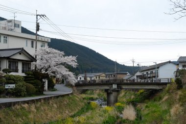 Japonya, Oita 'da Yufuin caddeleri ön cephede. Turistik bir kasaba ve turistik turlar için popüler bir yer.