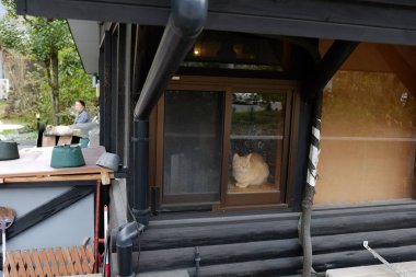 Yufuin, Japonya 'da turizm ve turizm turları için popüler bir yerdir..