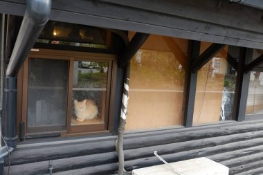 Yufuin, Japonya 'da turizm ve turizm turları için popüler bir yerdir..