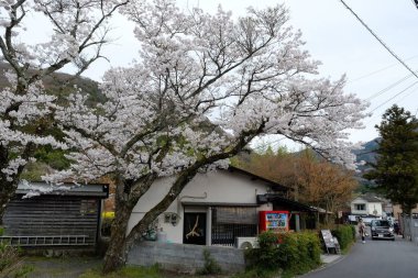 Yufuin, Japonya 'da turizm ve turizm turları için popüler bir yerdir..