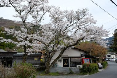 Yufuin, Japonya 'da turizm ve turizm turları için popüler bir yerdir..