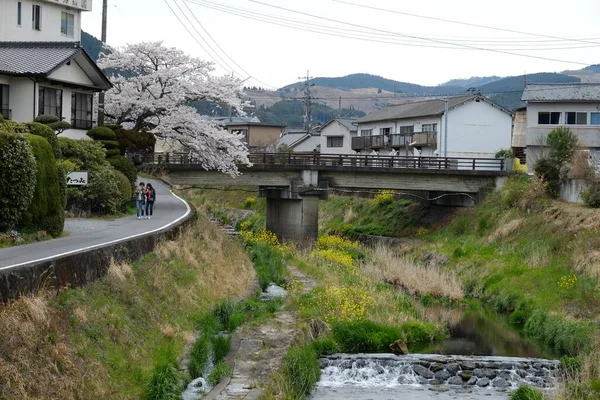 Façade Des Rues Yufuin Oita Japon Est Une Ville Touristique — Photo