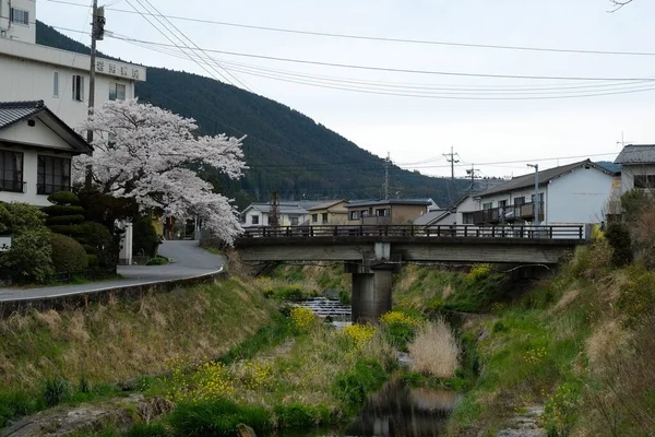 日本大田余福街是个旅游胜地 也是个旅游胜地 — 图库照片