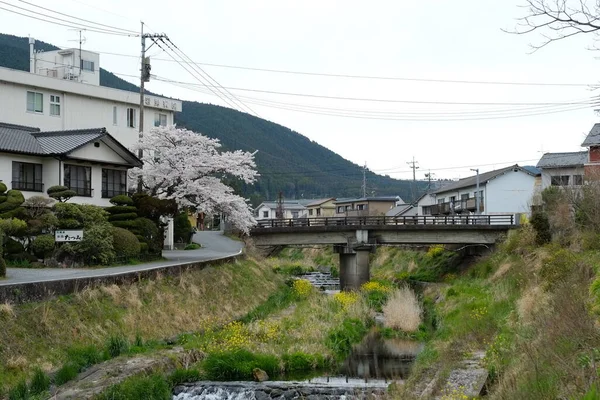 Yufuin Utcák Homlokzata Oita Japán Egy Turisztikai Város Egy Népszerű — Stock Fotó