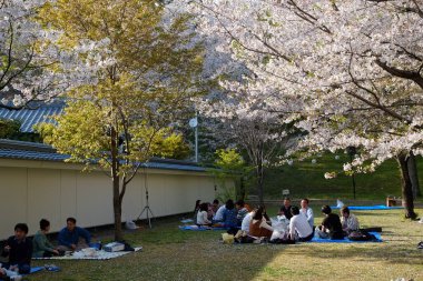 Kumamoto Kalesi cephesi Kumamoto, Japonya.