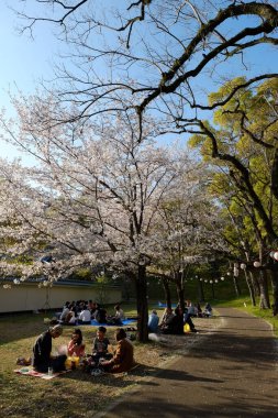 Kumamoto Kalesi cephesi Kumamoto, Japonya.