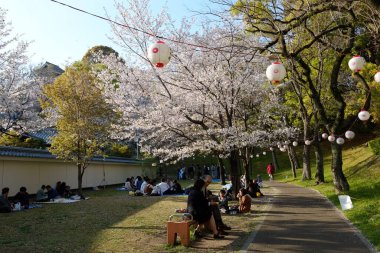 Kumamoto Kalesi cephesi Kumamoto, Japonya.