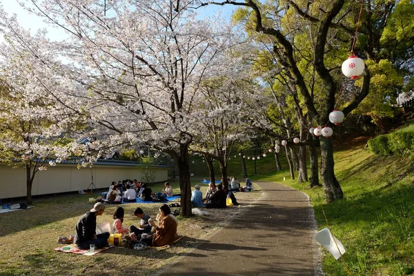 Façade Château Kumamoto Kumamoto Japon — Photo