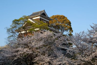 Kumamoto Kalesi cephesi Kumamoto, Japonya.