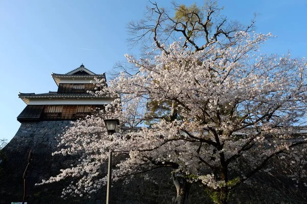Πρόσοψη Κάστρου Kumamoto Στο Kumamoto Ιαπωνία — Φωτογραφία Αρχείου