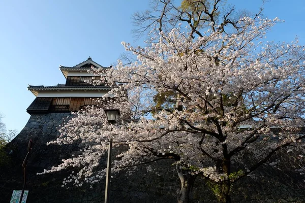 Facciata Del Castello Kumamoto Kumamoto Giappone — Foto Stock