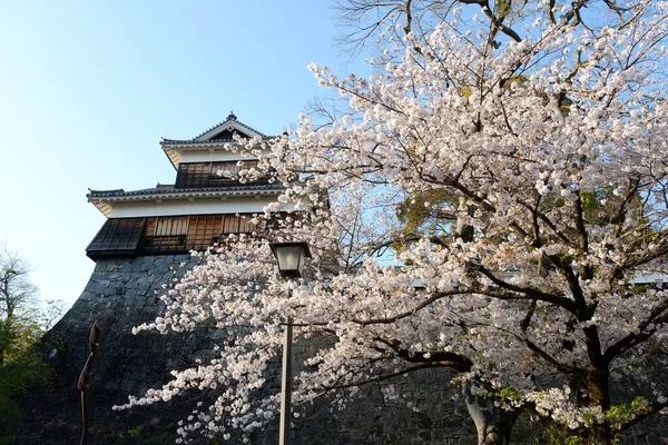 Fachada Del Castillo Kumamoto Kumamoto Japón — Foto de Stock