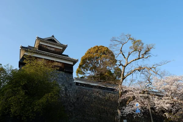 Facciata Del Castello Kumamoto Kumamoto Giappone — Foto Stock