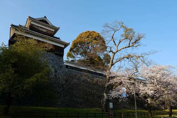 Fachada Del Castillo Kumamoto Kumamoto Japón —  Fotos de Stock