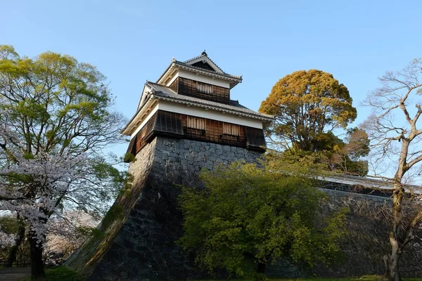 Kumamoto Kalesi Cephesi Kumamoto Japonya — Stok fotoğraf