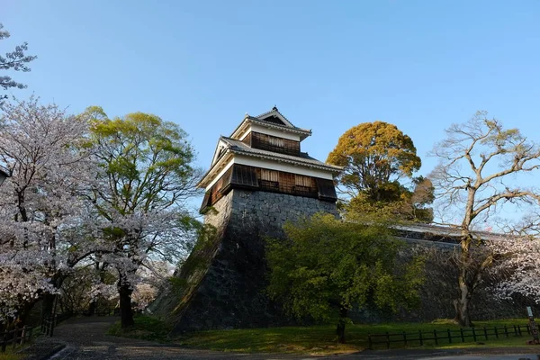 Facciata Del Castello Kumamoto Kumamoto Giappone — Foto Stock