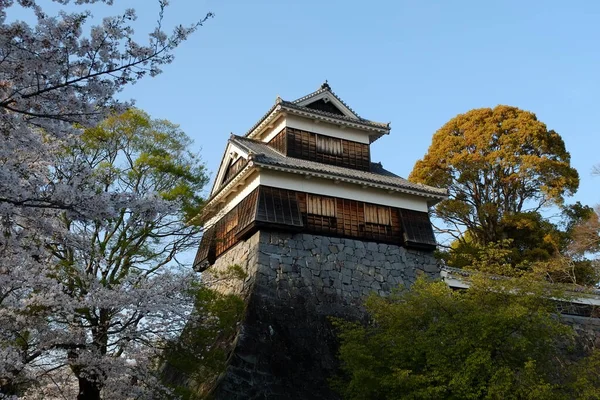 日本熊本的熊本城堡立面 — 图库照片