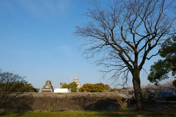 Kasteel Kumamoto Gevel Kumamoto Japan — Stockfoto